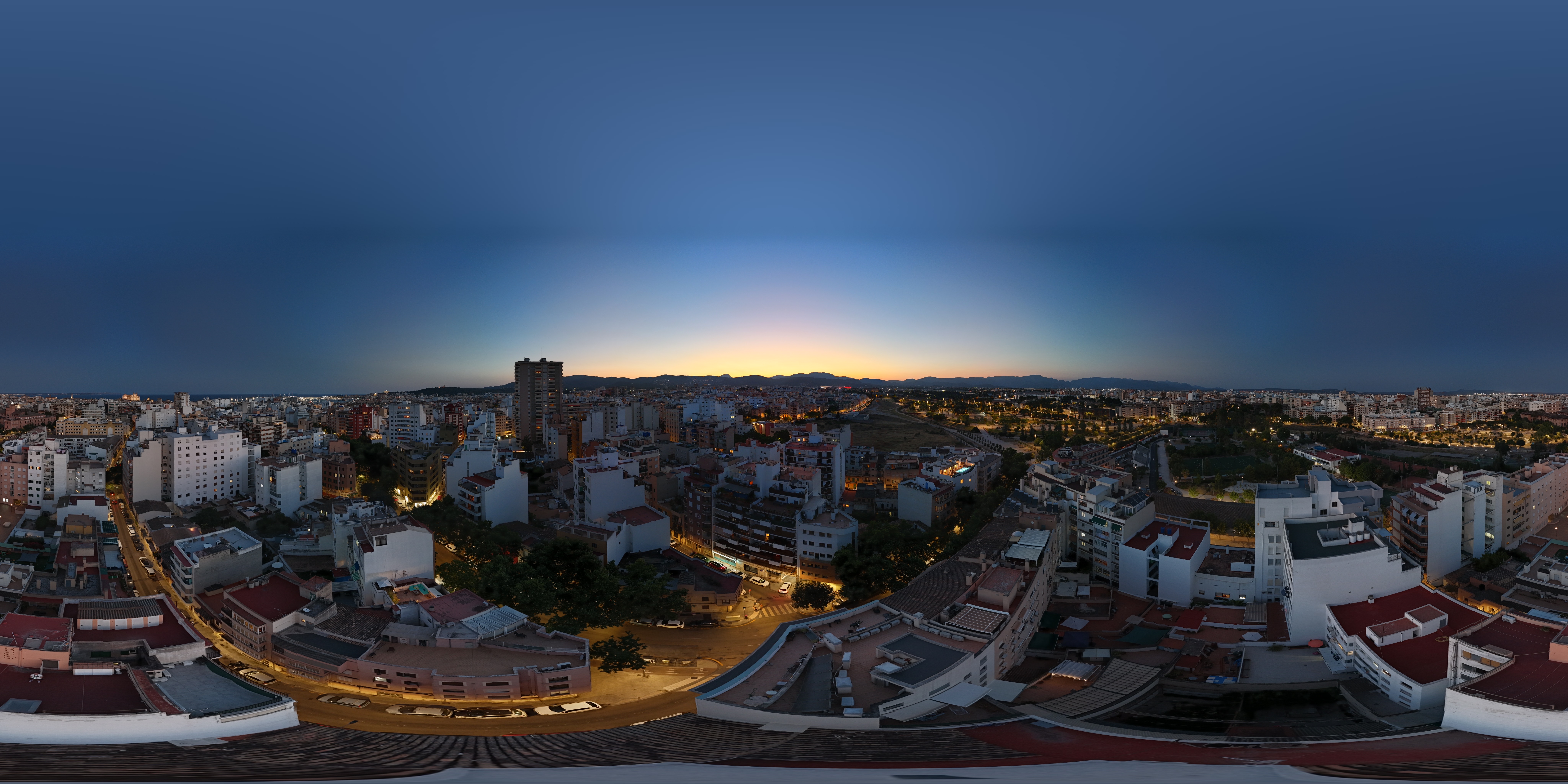Foto de ParejaPalma